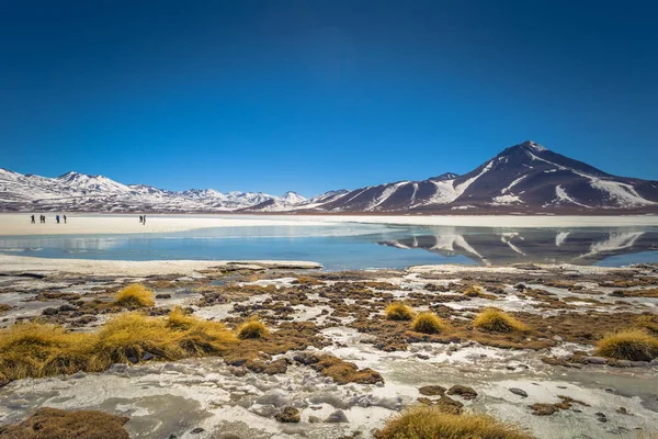 Landskap av gröna lagunen i Eduardo Avaroa National Park, B — Stockfoto