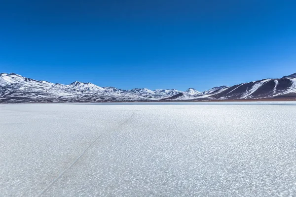 Landskap av gröna lagunen i Eduardo Avaroa National Park, B — Stockfoto