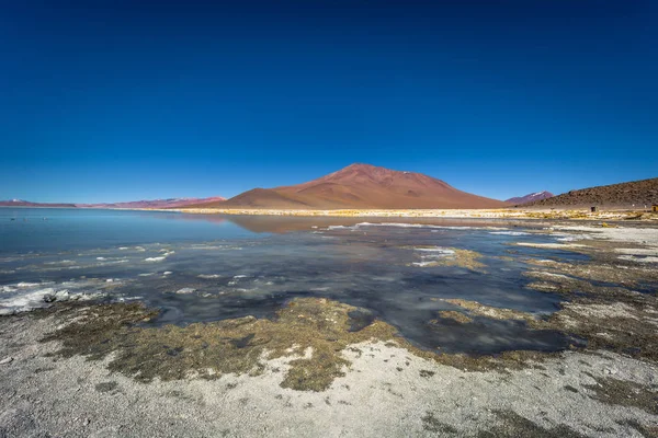 Paisagem das Termas Polques em Eduardo Avaroa National — Fotografia de Stock