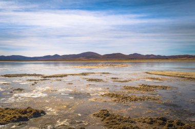 Eduardo Avaroa Milli Parkı, Bolivya'nın vahşi manzara