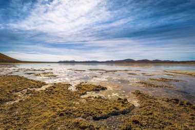 Eduardo Avaroa Milli Parkı, Bolivya'nın vahşi manzara