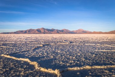 Manzara Uyuni tuz daireler, Bolivya