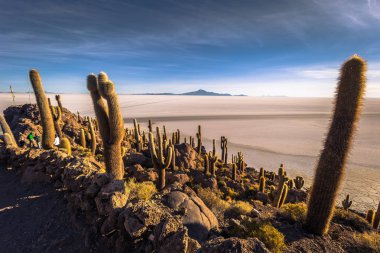Ada Incahuasi Uyuni tuz daireler, Bolivya