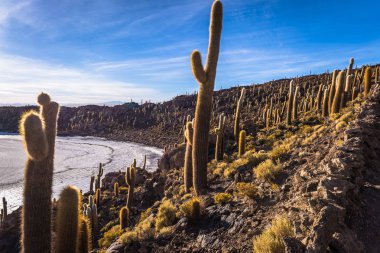 Ada Incahuasi Uyuni tuz daireler, Bolivya