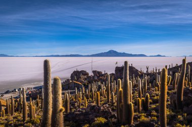 Ada Incahuasi Uyuni tuz daireler, Bolivya