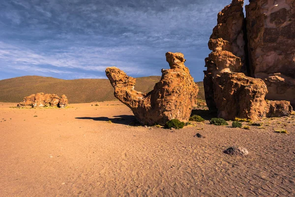 Steinkamel im verlorenen Italien im eduardo avaroa Nationalpark, Bolivien — Stockfoto