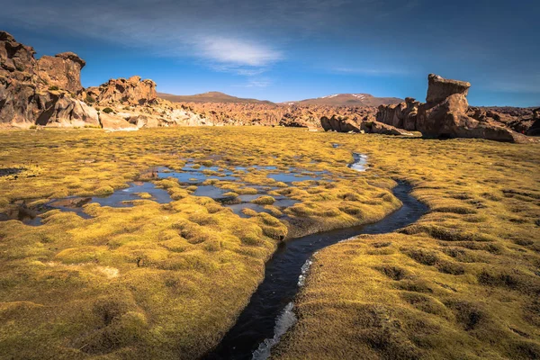 Wilde Landschaft in der Nähe der schwarzen Lagune im eduardo avaroa national — Stockfoto