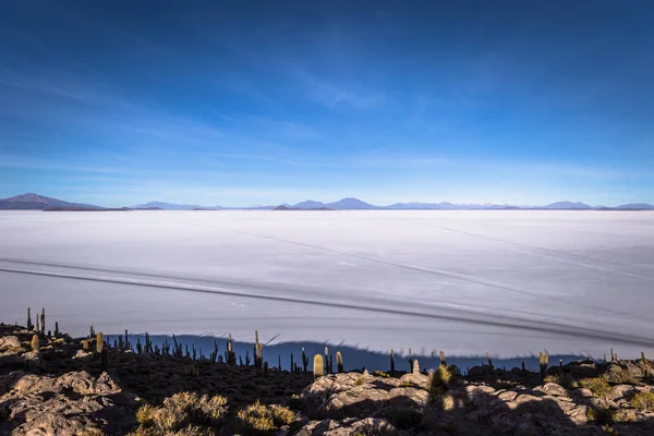 Ostrov Incahuasi na sůl byty Uyuni, Bolívie — Stock fotografie