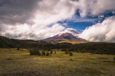 Cotopaxi - 18 Ağustos 2018: Cotopaxi Nat'Cotopaxi yanardağ
