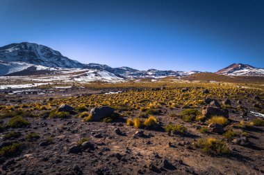 Atacama Çölü, Şili - Şili Atacama Çölü peyzaj