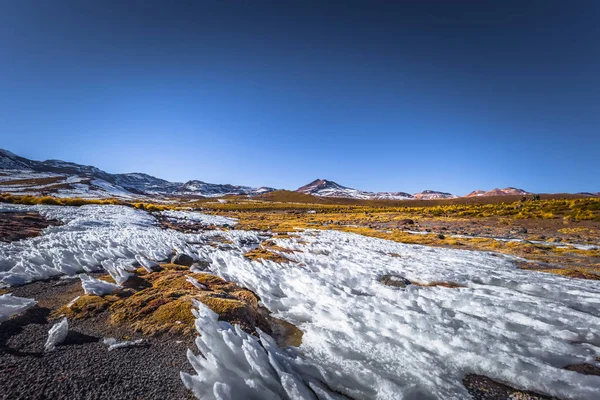Пустыня Атакама, Чили - Замороженные поля в пустыне Атакама, Чи — стоковое фото