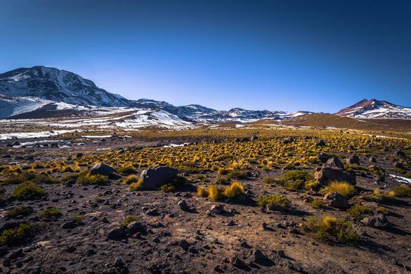 Poušť Atacama, Chile - krajina pouště Atacama, Chile — Stock fotografie