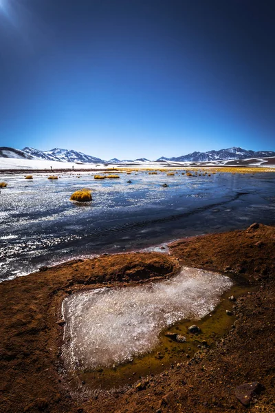 Poušť Atacama, Chile - laguny v andské Altiplano, Chile — Stock fotografie