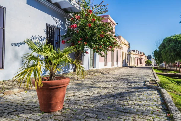 Colonia Del Sacramento - 02 Juli 2017: Gatorna i gamla stan — Stockfoto