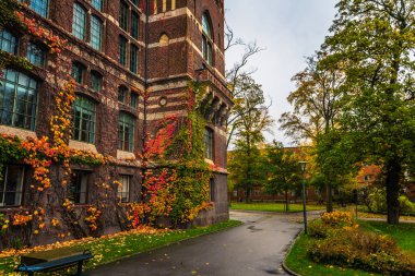 Lund - 21 Ekim 2017: Lund, İsveç Üniversitesi Kütüphanesi