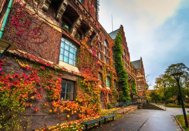 Lund - 21 Ekim 2017: Lund Üniversitesi Kütüphanesi duvarlarının