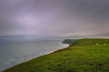 ALES Stones - 22 Ekim 2017: Demir İsveçli Coast'ta ag