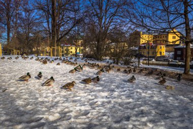 Gavle - 01 Nisan 2018: Gavle, İsveç'in şehrin tarihi merkezine