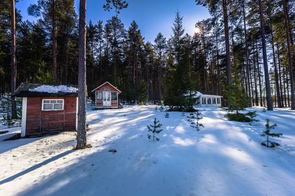 Falun Března 2018 Lesní Chaty Framby Udde Poblíž Města Falun — Stock fotografie