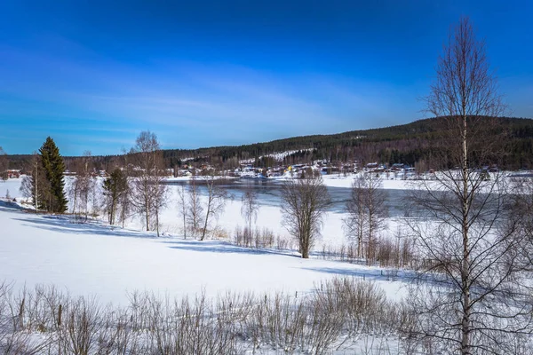 Dalarna 2018 Április Vad Fagyasztott Táj Vidék Dalarna Svédország — Stock Fotó