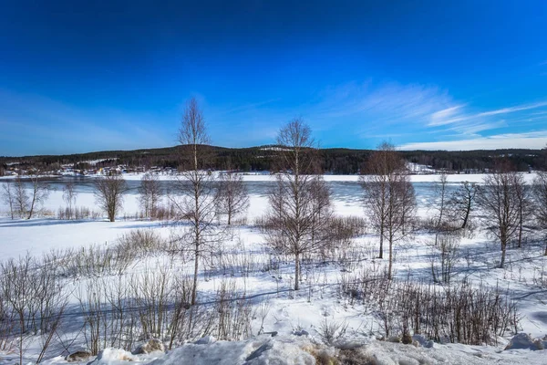 Dalarna April 2018 Wilde Gefrorene Landschaft Der Landschaft Von Dalarna — Stockfoto