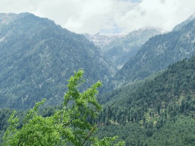 Dağlar büyük Hint Himalaya aralığı kar maskeli