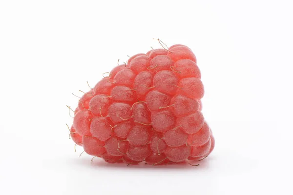 Raspberries on white background — Stock Photo, Image