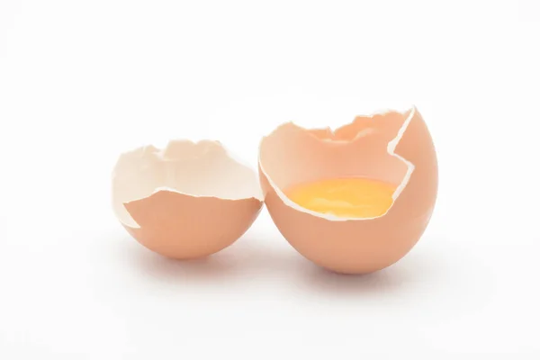 Коричневое Яйцо Белом Фоне Желток — стоковое фото