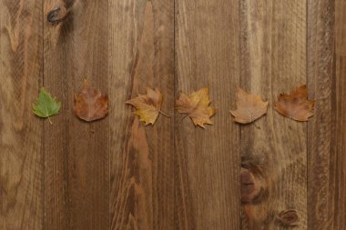 Kahverengi ahşap arka planda kurumuş yapraklar, sonbahar konsepti