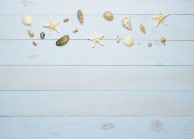 Mavi ahşap arka planda deniz kabukları, deniz yıldızları ve deniz kabukları