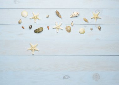 Mavi ahşap arka planda deniz kabukları, deniz yıldızları ve deniz kabukları