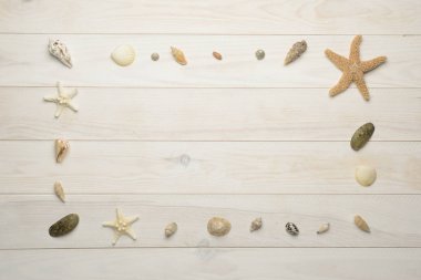 Beyaz ahşap arka planda deniz kabukları, deniz yıldızları ve deniz kabukları