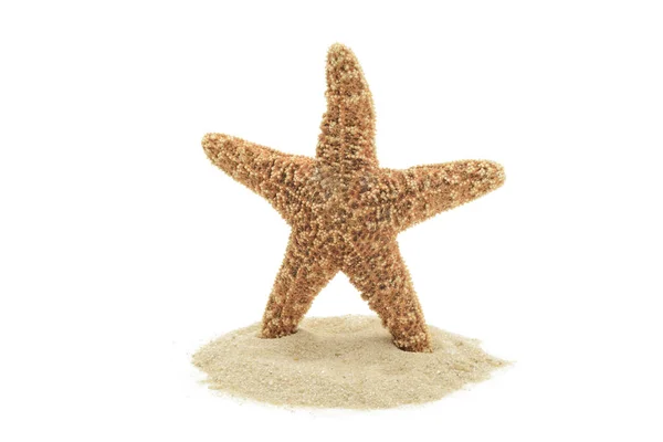 Red sea starfish and sand — Stock Photo, Image