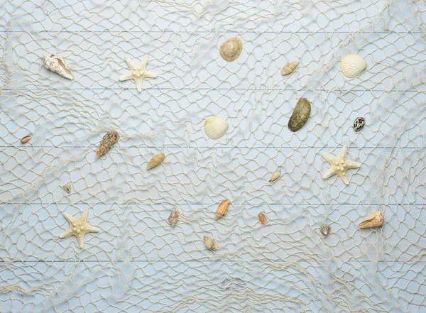 蓝色木制背景的海贝、海星和贝壳 — 图库照片