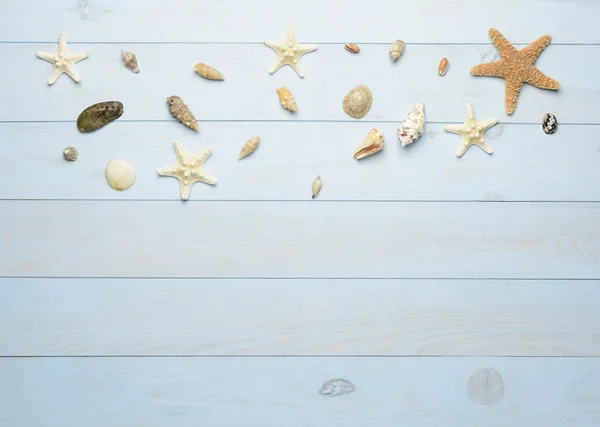 Seashells, starfish and sea shells on blue wooden background — Stock Photo, Image