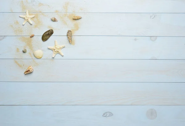 Морские ракушки, морские звезды и раковины на голубом деревянном фоне — стоковое фото