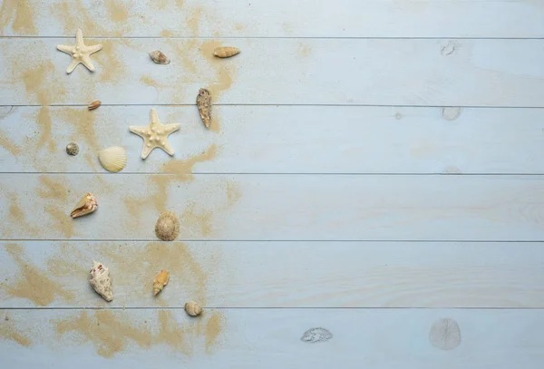 Cáscaras de mar, estrellas de mar y conchas de mar sobre fondo azul de madera ingenio — Foto de Stock