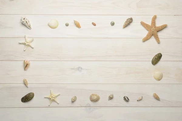 Conchas de mar, estrellas de mar y conchas de mar sobre fondo de madera blanca — Foto de Stock