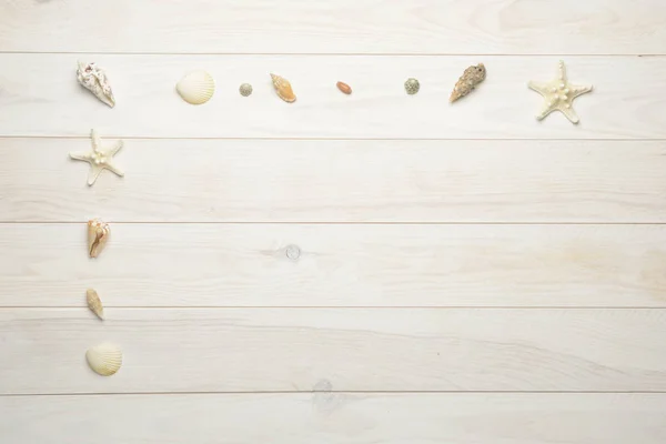 Conchas de mar, estrellas de mar y conchas de mar sobre fondo de madera blanca — Foto de Stock