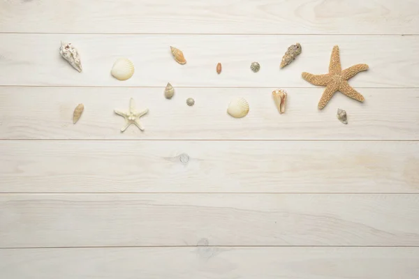 Seashells, starfish and sea shells on white wooden background — Stock Photo, Image