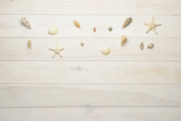 Conchas de mar, estrellas de mar y conchas de mar sobre fondo de madera blanca — Foto de Stock