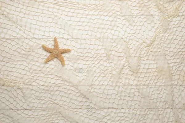 Stella marina su fondo bianco in legno con rete da pesca — Foto Stock