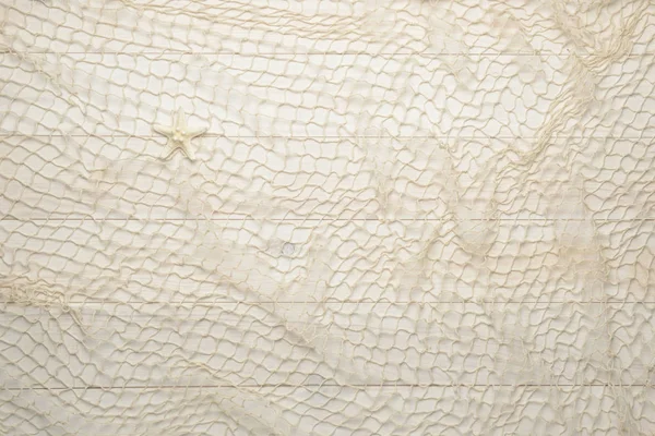 Stella marina su fondo bianco in legno con rete da pesca — Foto Stock