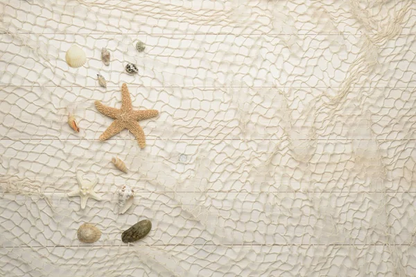 白色木制背景上的海贝、海星和海贝壳 — 图库照片