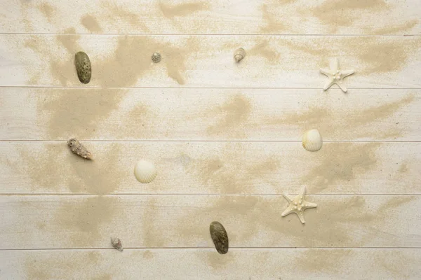 Conchas do mar, estrelas do mar e conchas marinhas sobre fundo de madeira branco wi — Fotografia de Stock