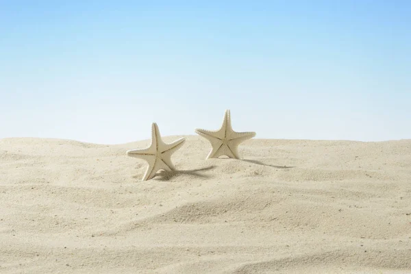 stock image White starfish on the sand