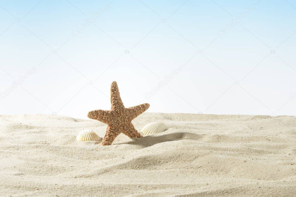 Red starfish on the sand