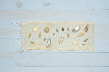 Mavi ahşap zemin üzerinde balık ağı, kabuk ve kabuklar