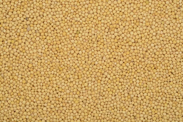 Tahılda sarı hardal — Stok fotoğraf