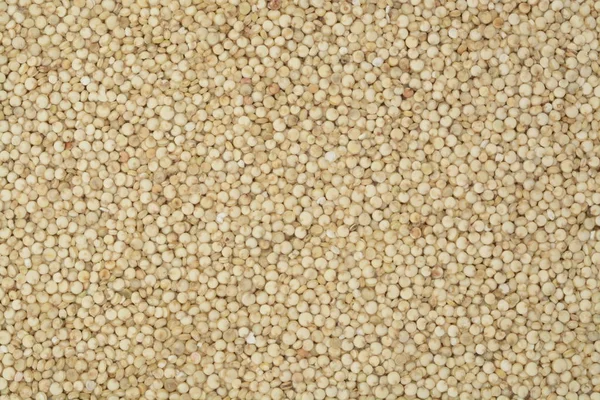 Bílé quinoa na bílém pozadí — Stock fotografie